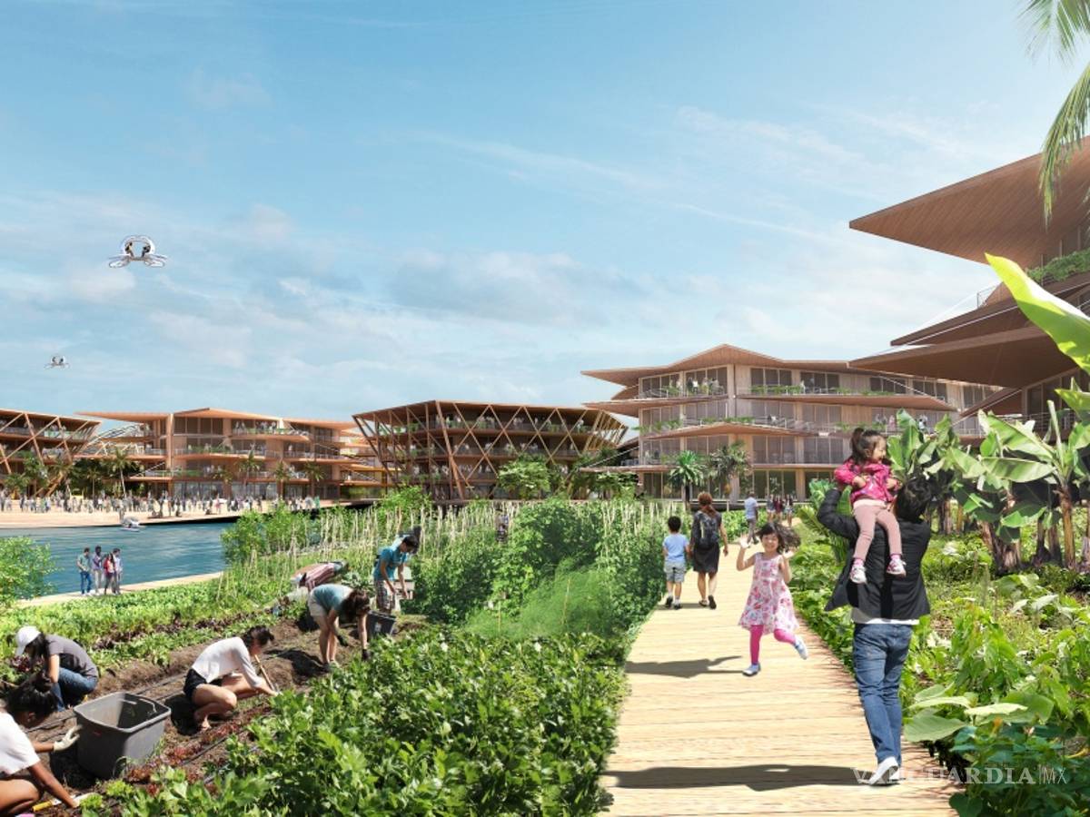 $!Esta es Oceanix City, la ciudad para 10 mil habitantes que está ¡sobre el agua!