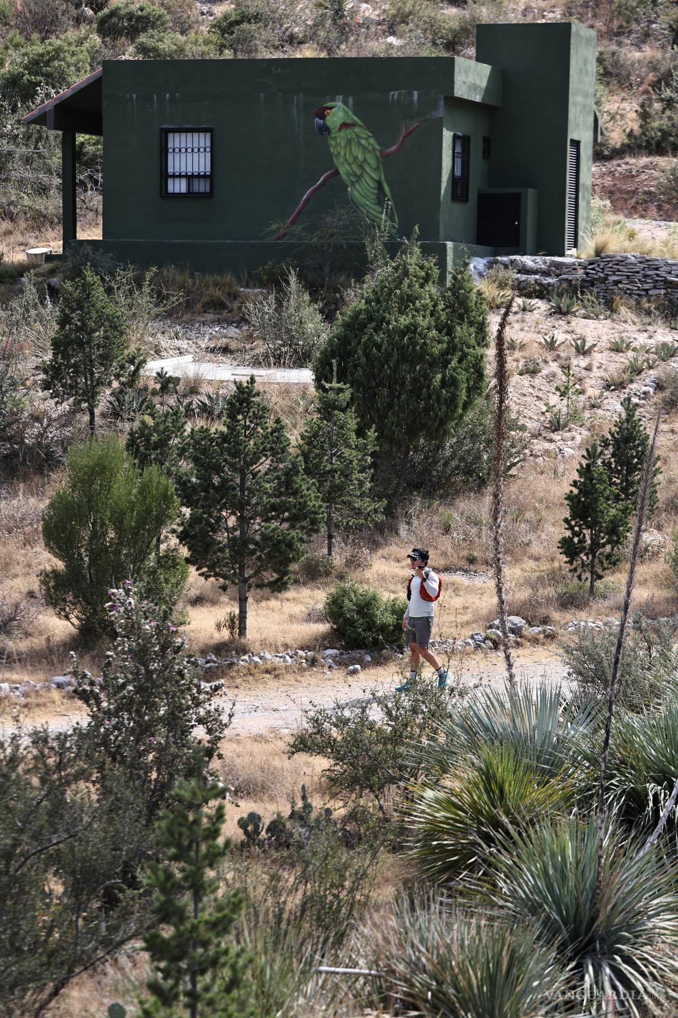 $!Especialistas advierten que la figura de geoparque puede fortalecer la educación ambiental y la investigación, aunque también implica mayores retos de gestión y presión turística.