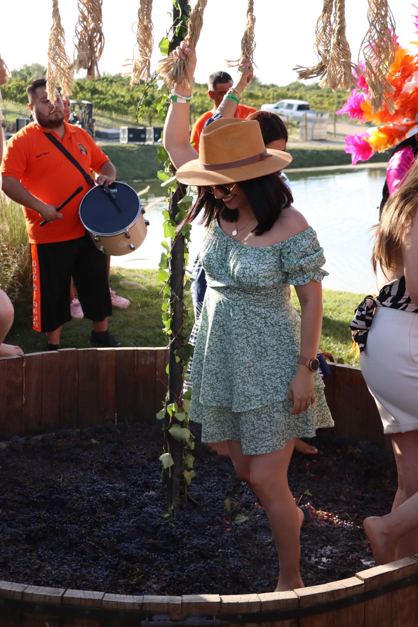 $!Durante el evento se hizo el tradicional pisado de las uvas de Parras de la Fuente.