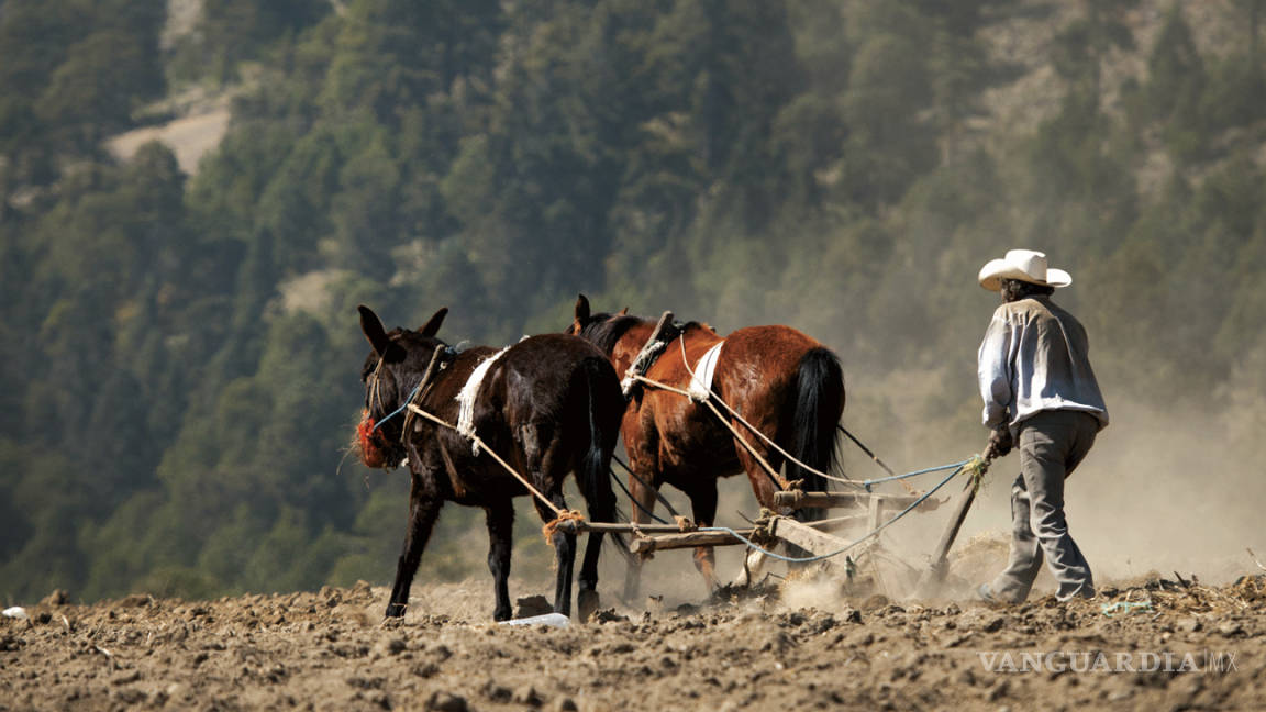 Peña Nieto propone a campesinos acuerdo agrario para enfrentar a Trump
