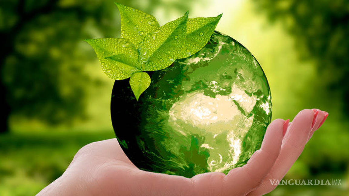Día Mundial del Medio ambiente, entre la reflexión y ¿la acción?