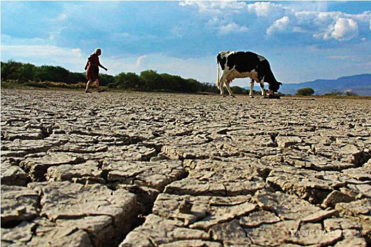 Coahuila y Tabasco, en foco: el cierre de 2025 aún deja zonas del país bajo sequía, reporta el SMN