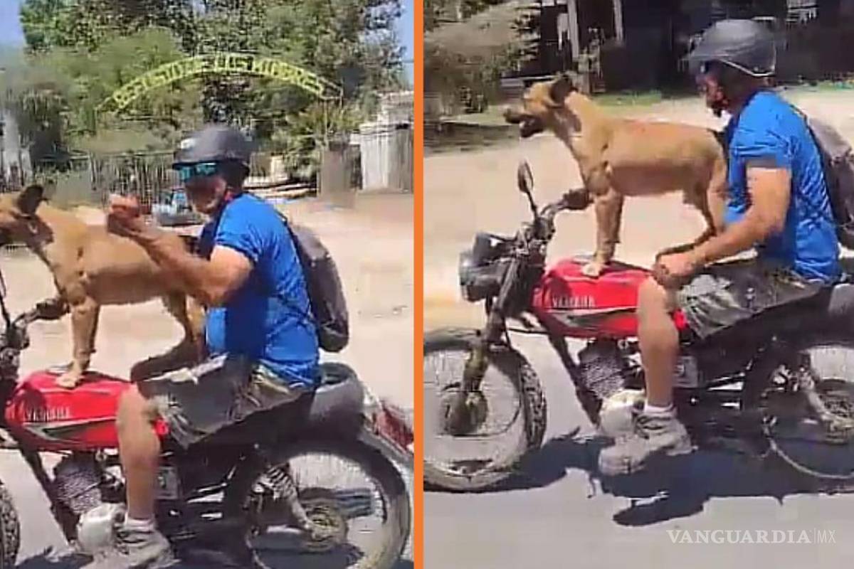 ‘Lomito motorizado’: Exhiben a motociclista que viaja con su mascota en Saltillo (video)