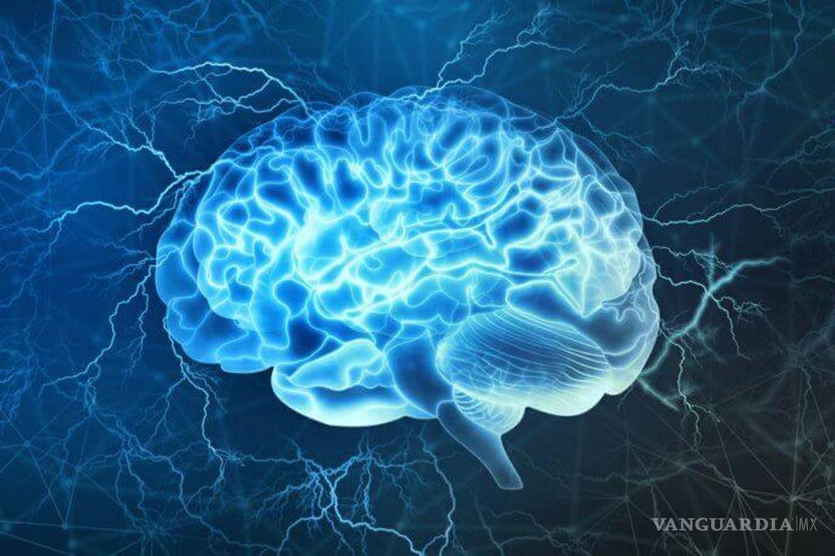 ¿Qué le ocurre al cerebro antes de morir?