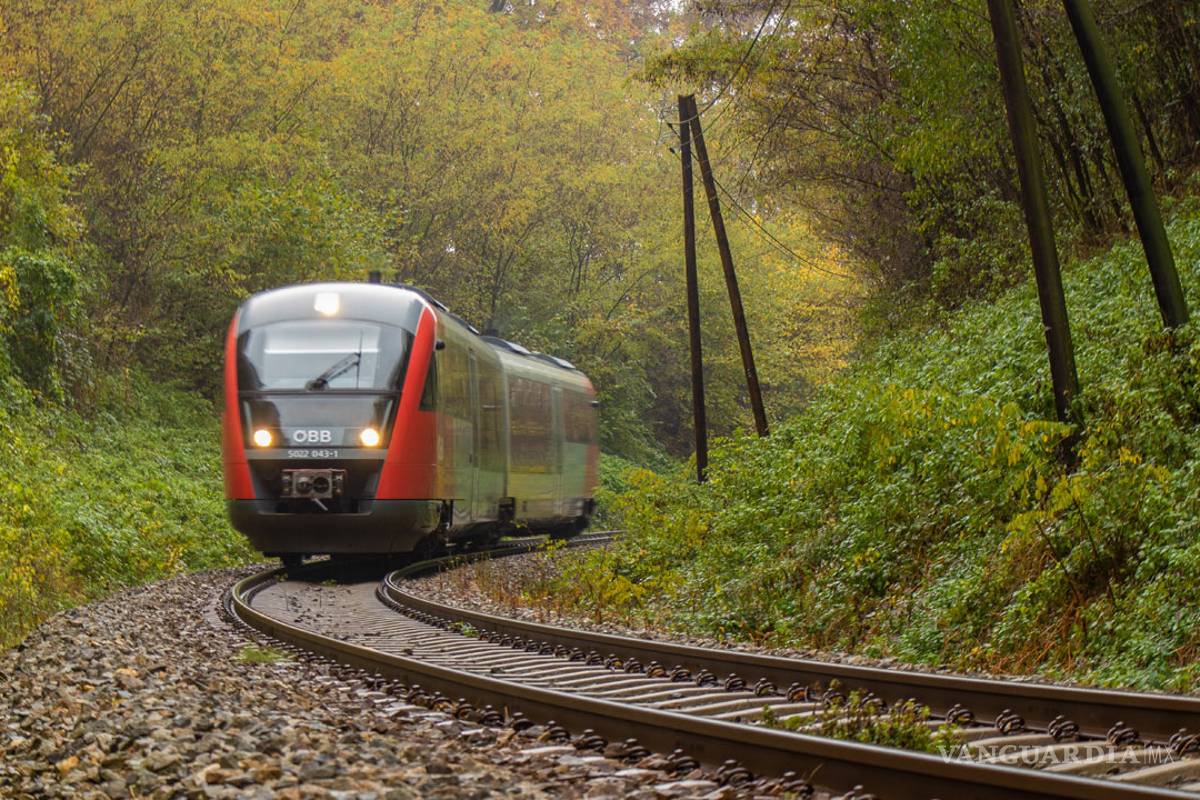 Tren Maya usará diesel y México produce poco