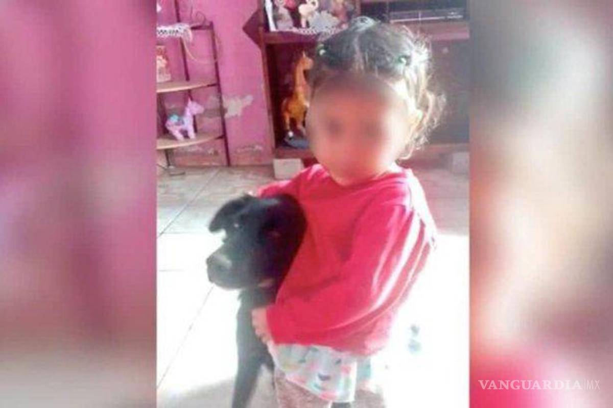 AMLO pide a Rosa Icela Rodríguez atender caso de la niña Camila Roxana