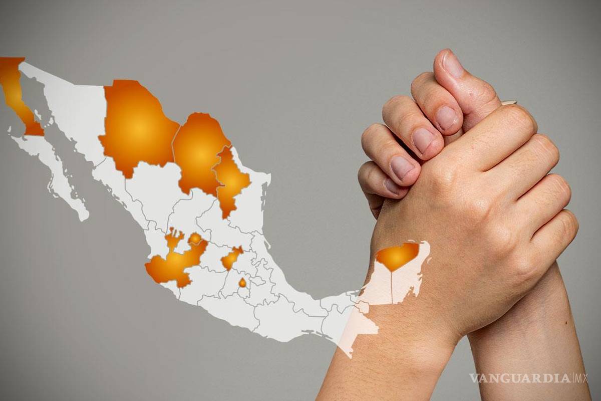 Van 8 de las 20 reformas de López Obrador contra la competitividad: IMCO