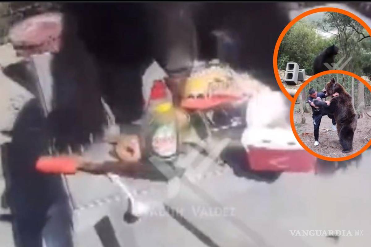 ¿Qué buscas? Albañiles ‘pelean’ con oso por comida en Monterrey (Video)