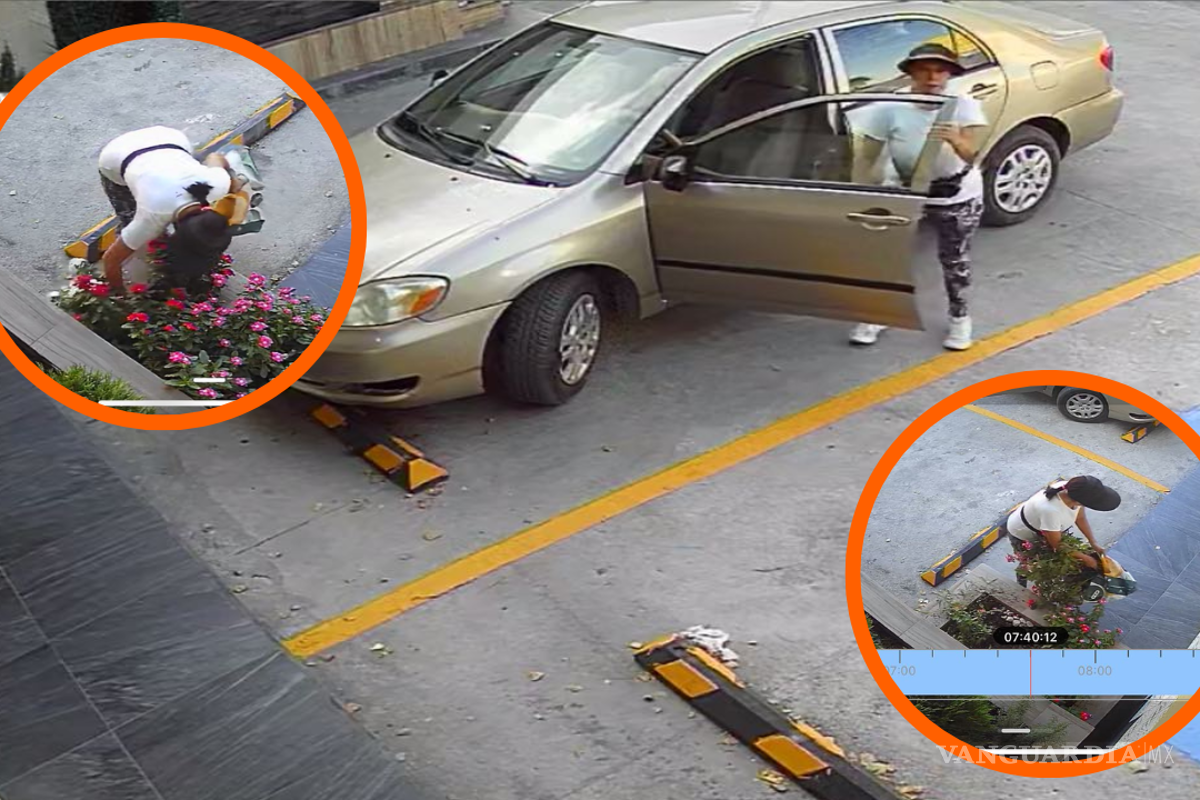 ‘Nuestro primer robo’: exhiben a mujer que se llevó flores del jardín de un negocio (fotos)