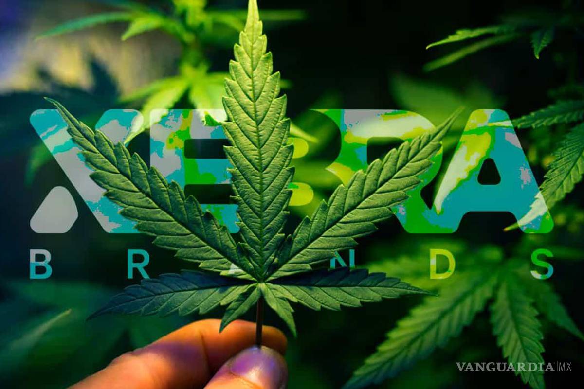 Cofepris apelará permiso para producir cannabis industrial en México