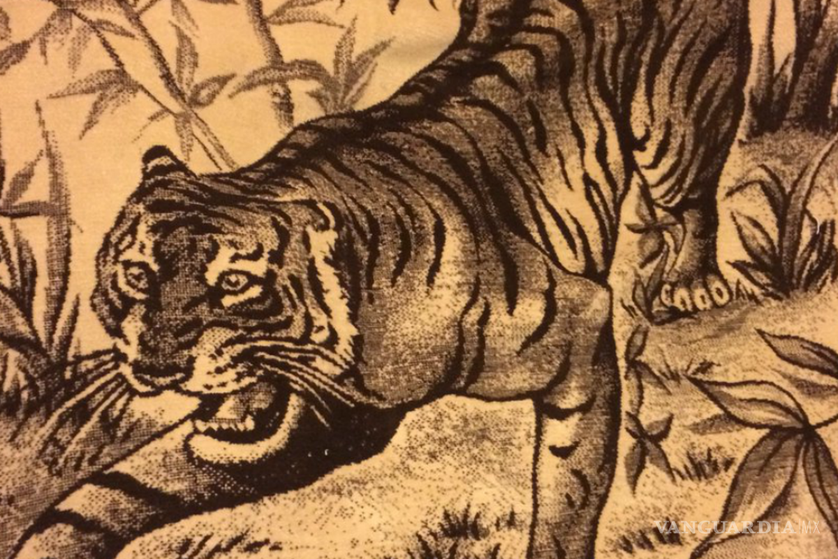 ¿Qué le pasó a las Cobijas de Tigre?... la desaparición de los Cobertores San Marcos que calentaban a los mexicanos en tiempo de frío