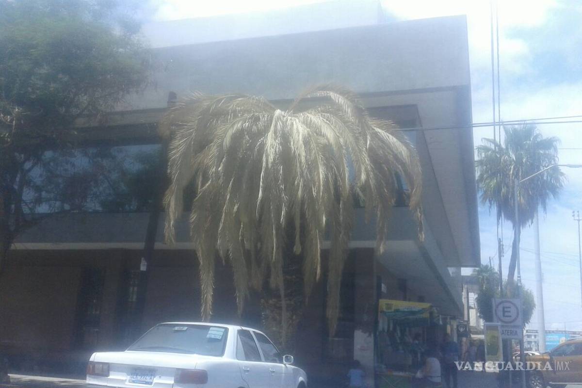 Incendio de transformador deja sin luz el centro de Torreón