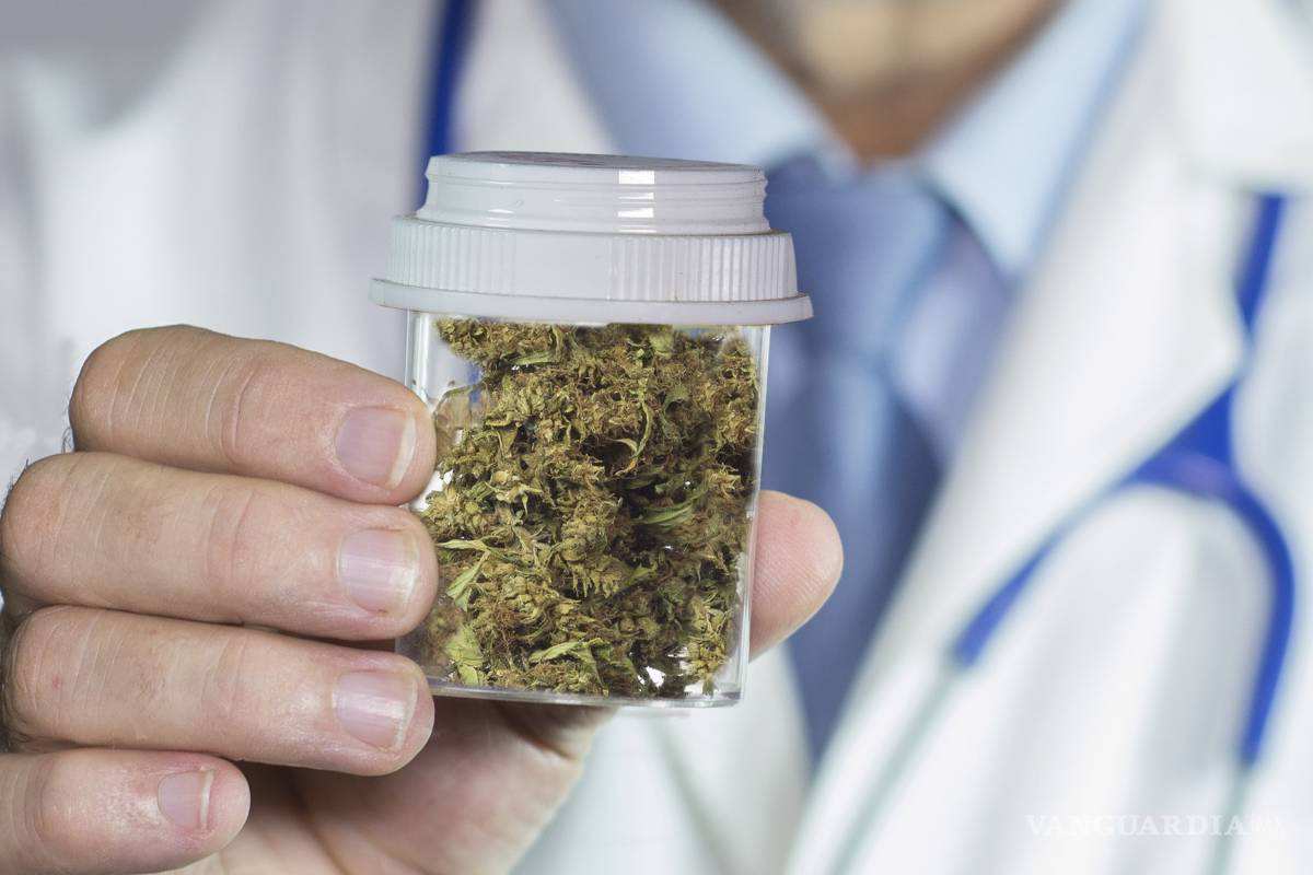 Ya se puede comercializar y sembrar mariguana medicinal en México, conoce las reglas de la Cofepris