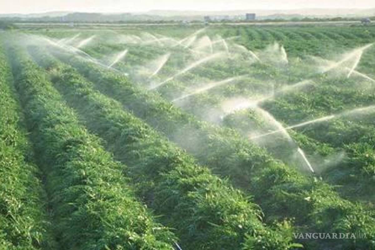 ‘Urge perfeccionar los sistemas de producción alimenticios en México’: experto en agroindustria