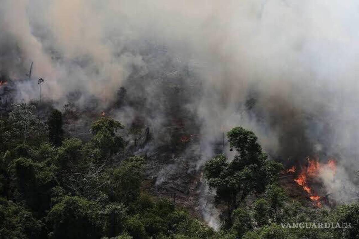 Jair Bolsonaro prohíbe encender fuego en el Amazonas por dos meses