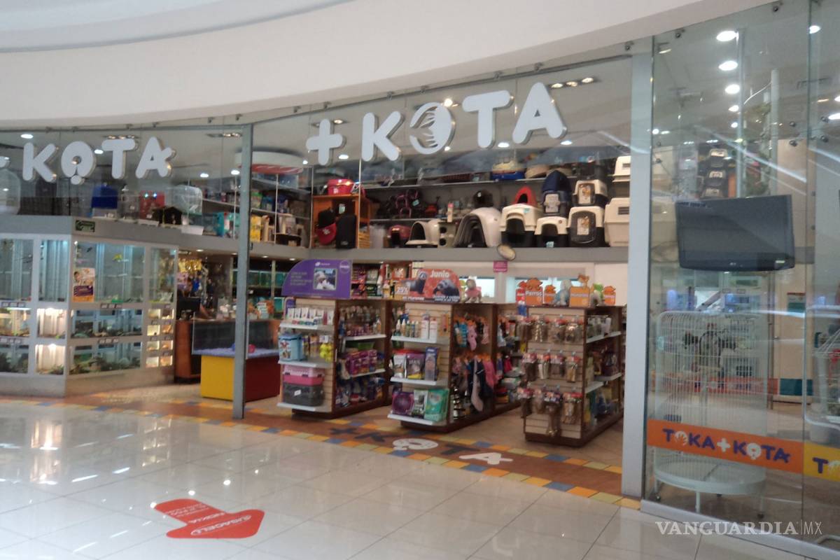 +KOTA donará alimentos a mascotas afectadas por huracán