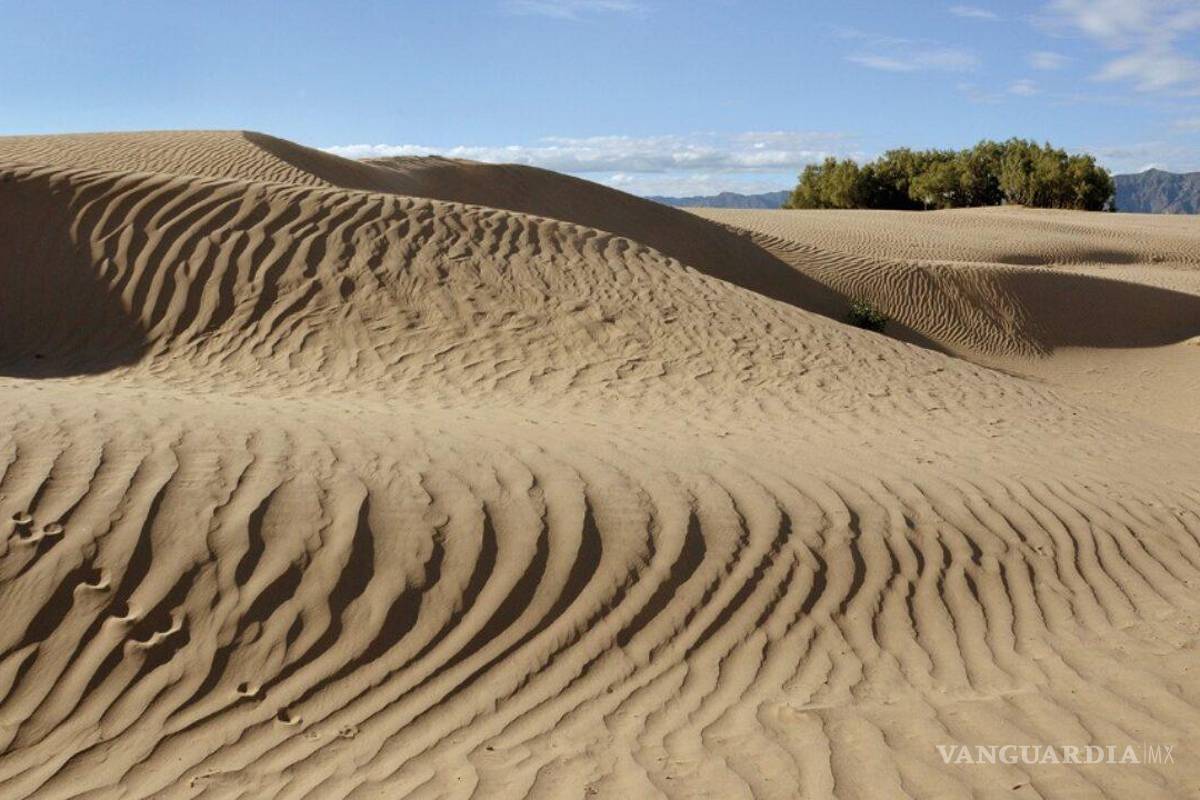 Sectur: ‘Para vacacionar, elijan como primera opción a Coahuila’