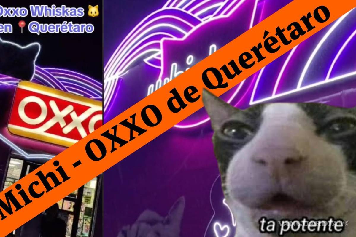 ¿Ubicación del Michi-Oxxo de Querétaro?, tienda con decoración de gatitos se hace viral en TikTok (video)