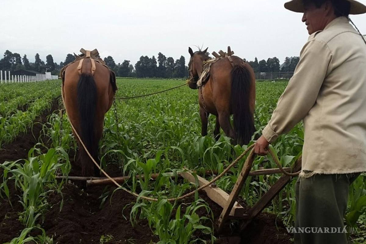 Presupuesto para Agricultura y Desarrollo Rural, el más bajo en 11 años: CAP