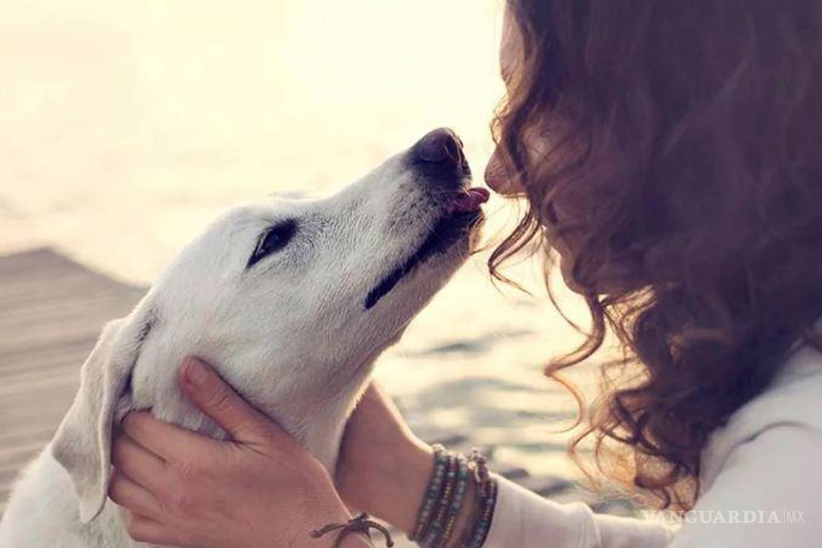 Coahuila: en el Mes del Testamento, ¿es posible heredar a tu mascota?