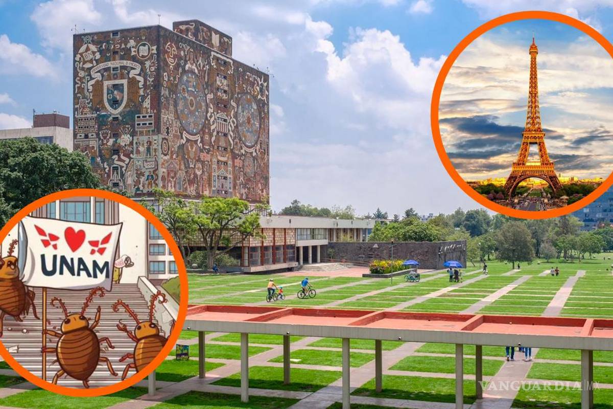 ¿Qué tienen en común la UNAM, y París? Plaga de chinches enciende alarmas en redes sociales