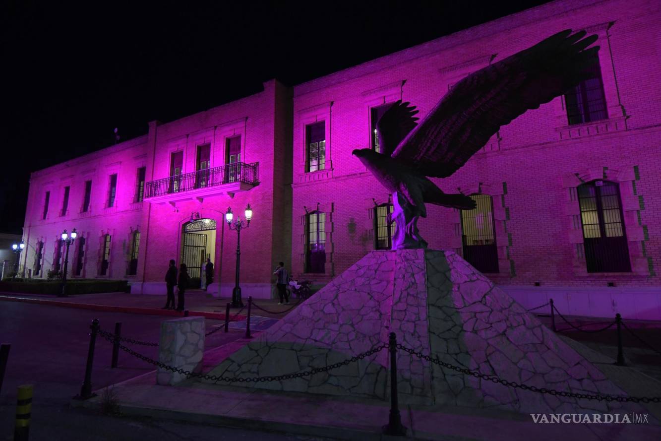 Museo De Las Aves Cumple 30 Años De Promover El Cuidado De La ...