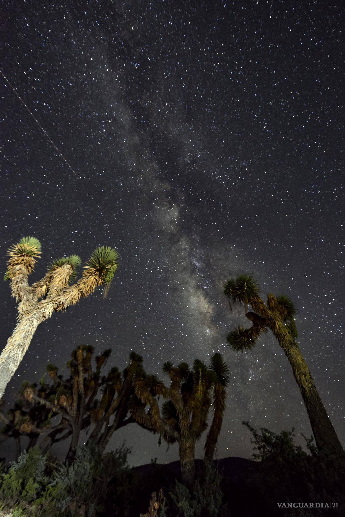 $!El fotógrafo Daniel Bates encuentra en la naturaleza un recordatorio de nuestra fragilidad y nuestra responsabilidad.