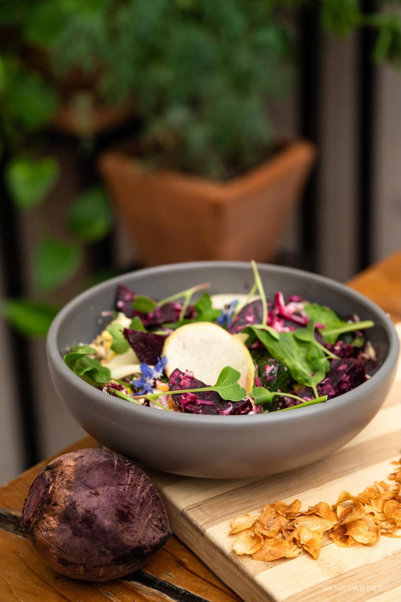 $!Colores que cuentan historias y sabores que nacen del huerto familiar.