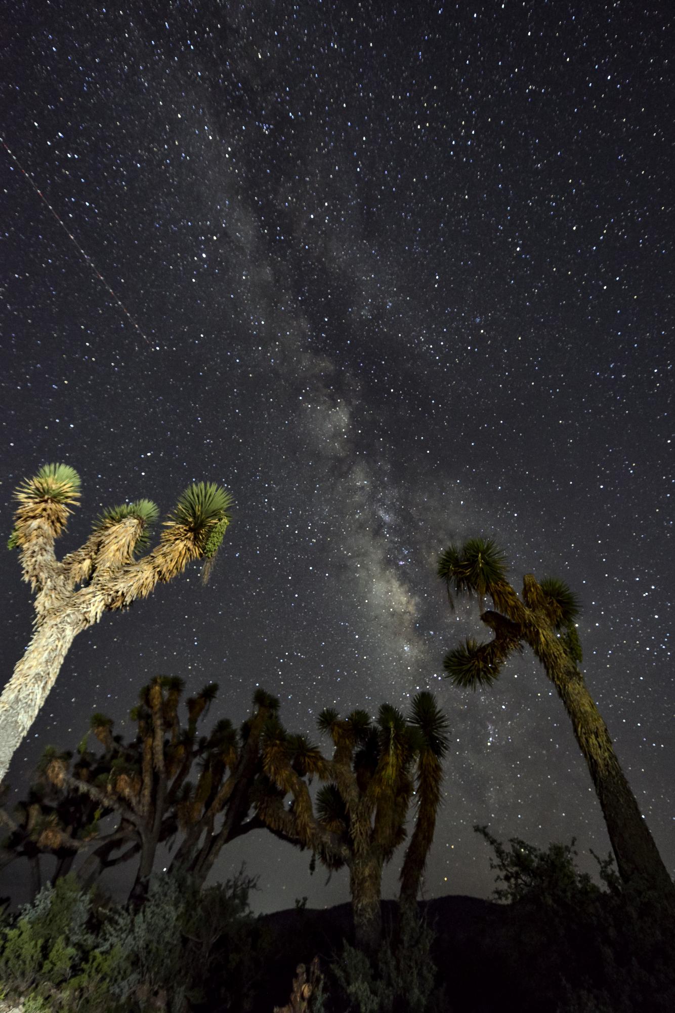 $!El fotógrafo Daniel Bates encuentra en la naturaleza un recordatorio de nuestra fragilidad y nuestra responsabilidad.