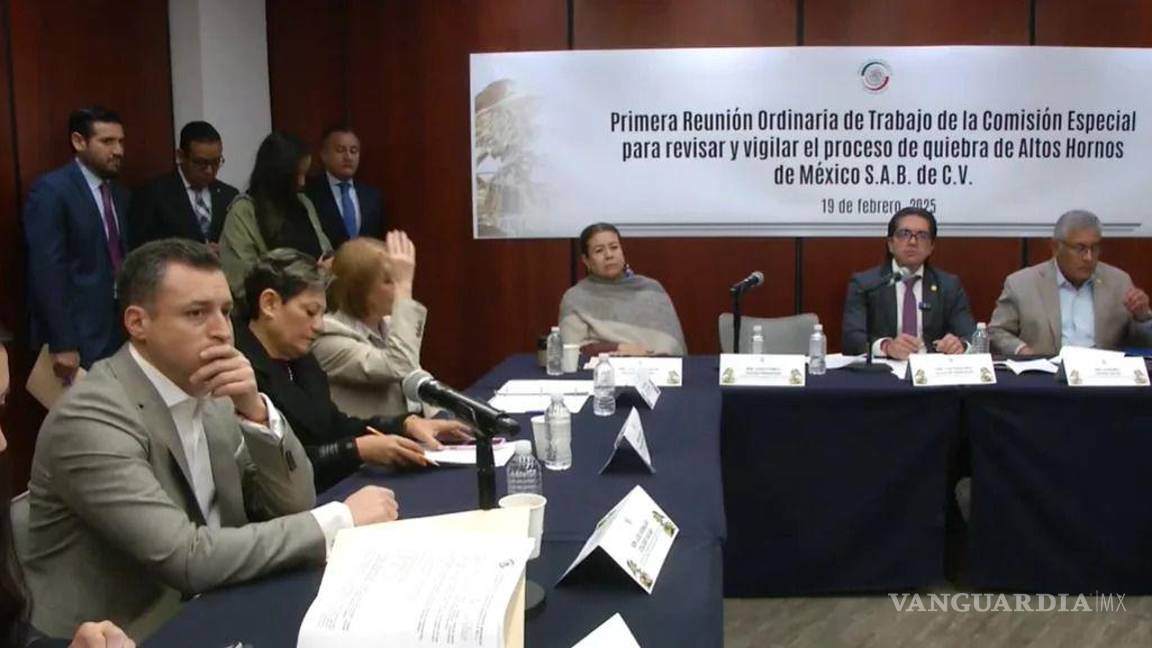 Senado analiza futuro de AHMSA ante millonaria deuda que asciende a los 60 mmdd