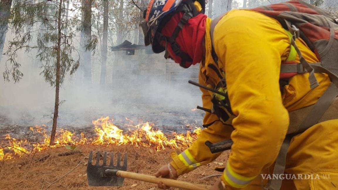 Reanudan labores para combatir el incendio de la sierra de Santiago, NL