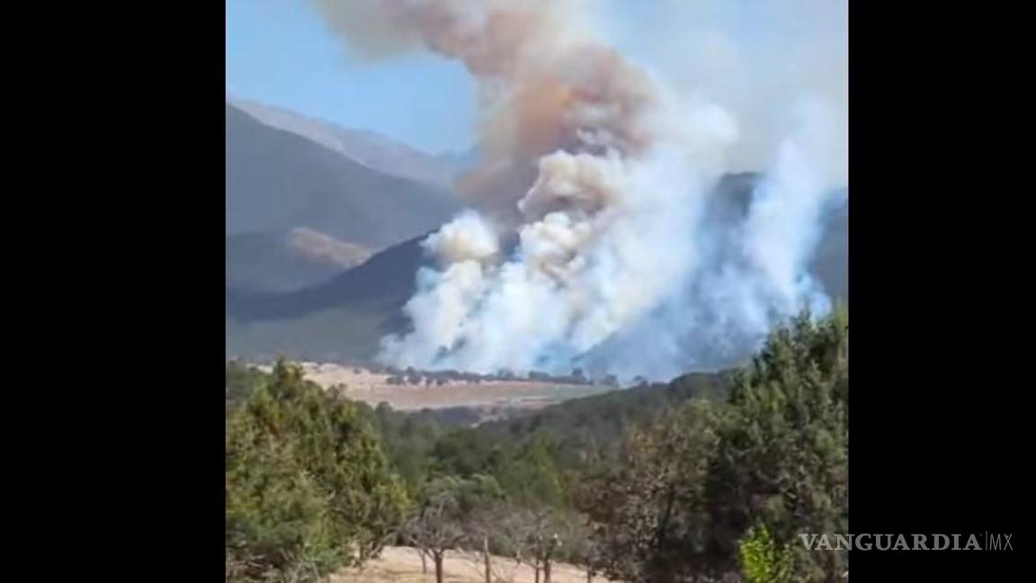 Incendio fuera de control en la Sierra de Arteaga; las llamas amenazan con expandirse por los fuertes vientos