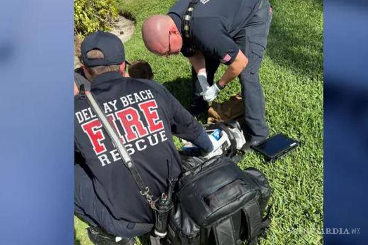 Hospitalizan a joven tras recibir mordida de tiburón en Florida