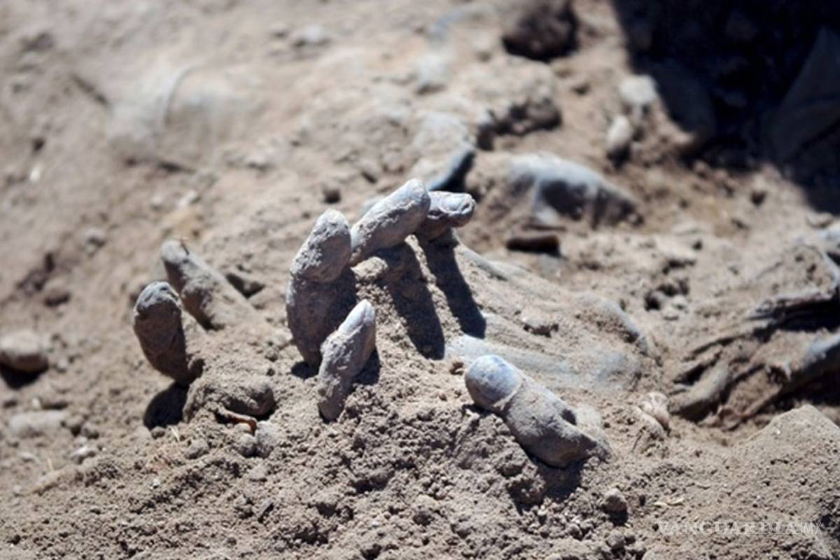 La narcofosa más grande de México podría estar en Veracruz... madres buscan a sus hijos desaparecidos