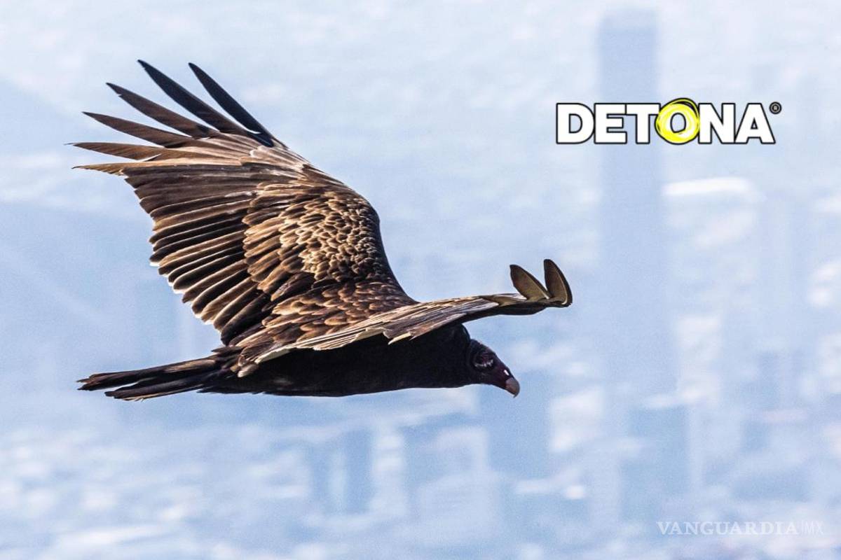 $!Esperando el Mundial FIFA 2026.