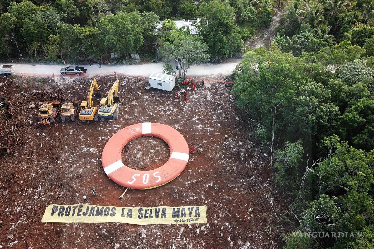 Impulsan activistas nuevo amparo contra el Tren Maya