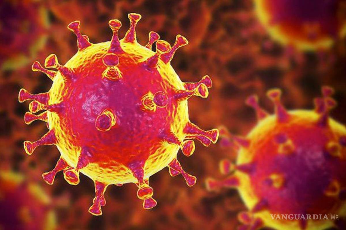 ¿Qué es la Fase 4 de COVID-19? Aquí te decimos en qué consiste