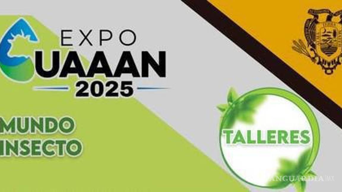 $!Niños podrán participan en el taller “Mundo insecto” y aprendrán sobre la importancia de los insectos en el ecosistema.