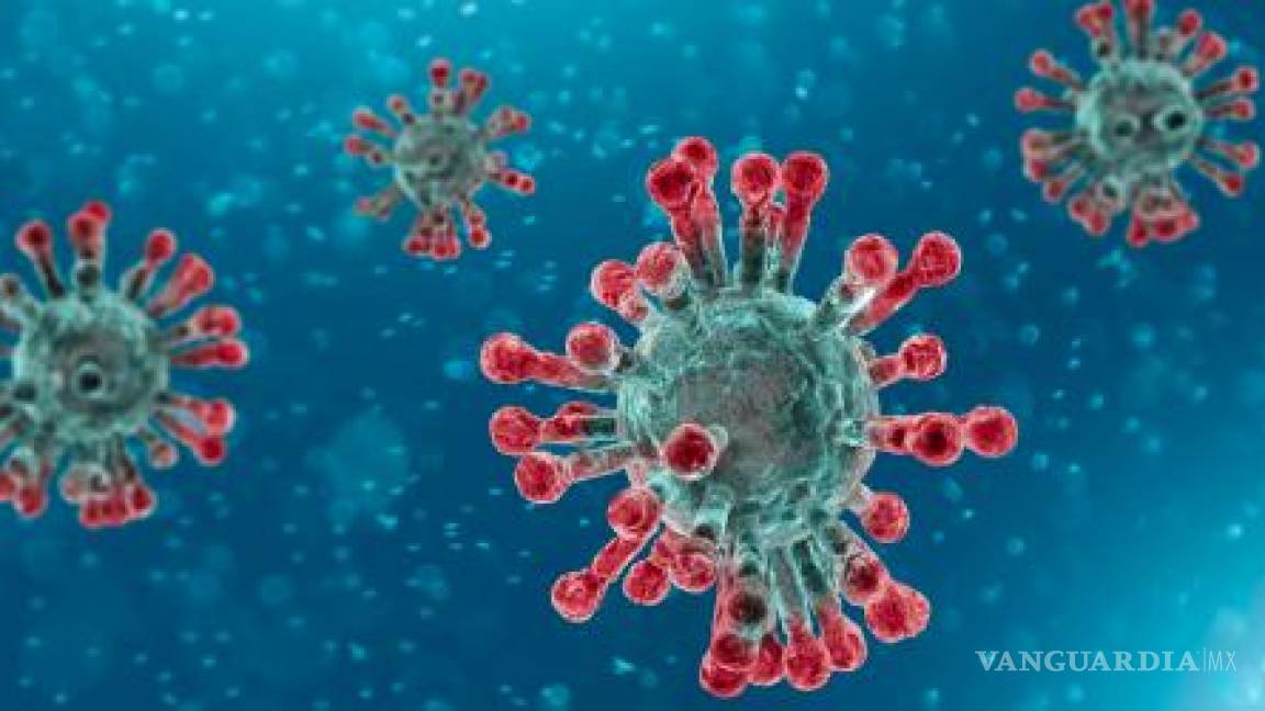 Inmunidad de rebaño no es una opción contra la pandemia de COVID-19, advierte la OMS