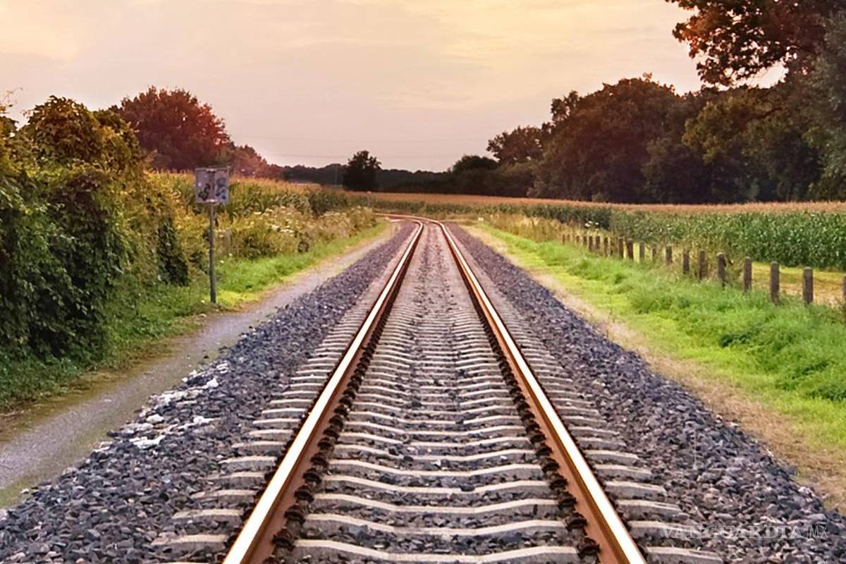 Van 11 consorcios por trenes de CSP