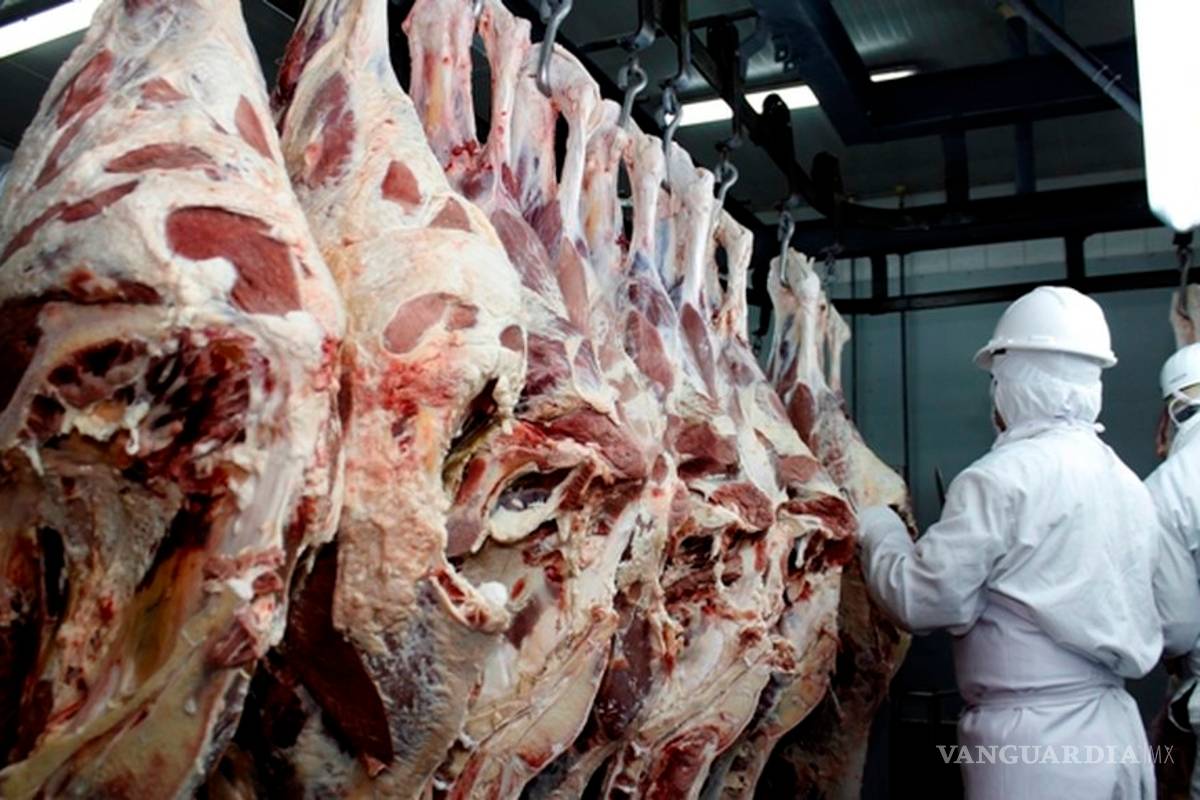 Carne podrida en Brasil, lo que hay que saber