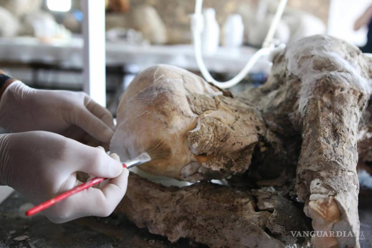 Los muertos de Pompeya se confiesan