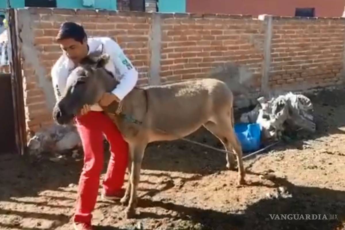 En busca de votos, candidato a diputado del PRI baila y besa a burro (video)