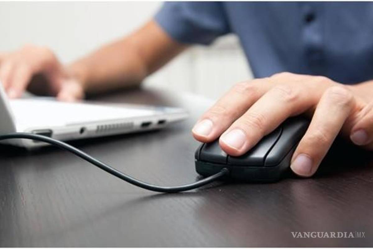 Detienen en Quintana Roo a 2 pornógrafos infantiles