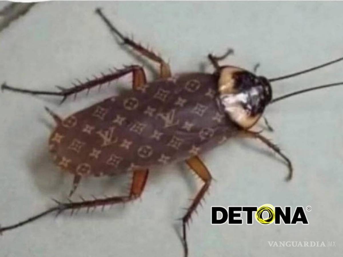 $!En las casas de éstos, hasta las cucarachas son de Marca.