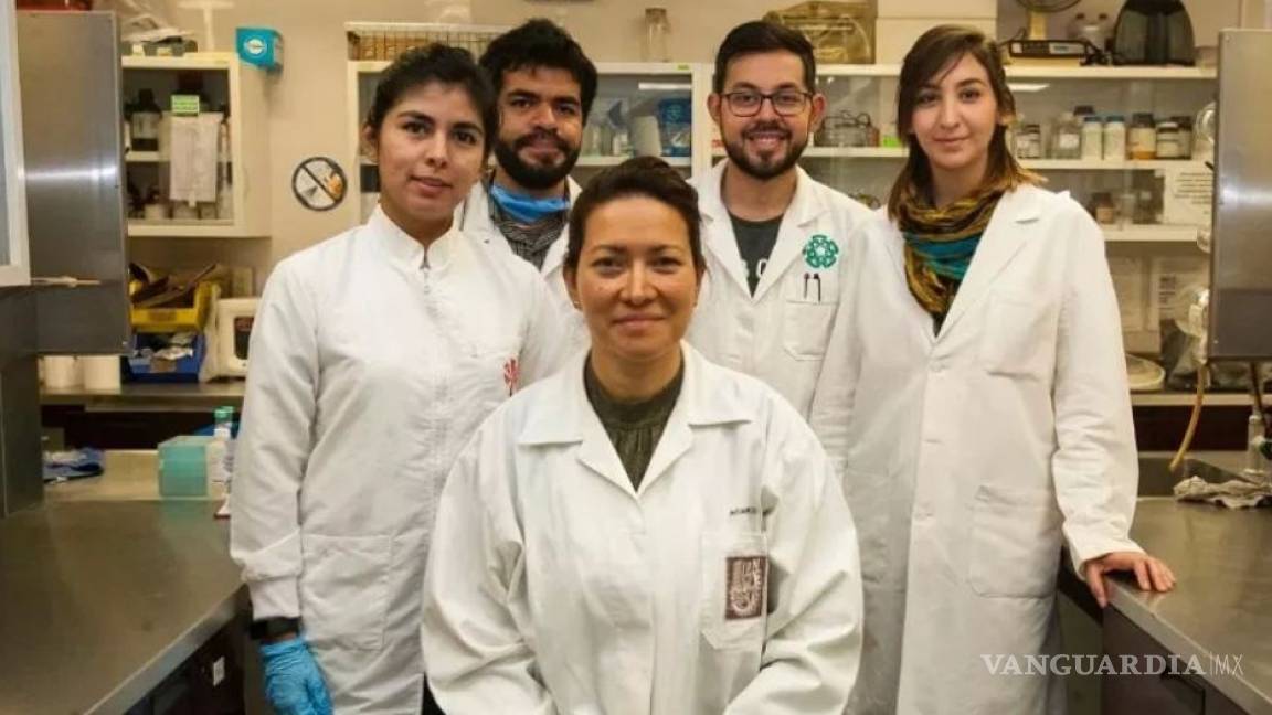 En el marco del Día Mundial Contra el Cáncer, científicos del IPN logran eliminar el virus del Papiloma Humano