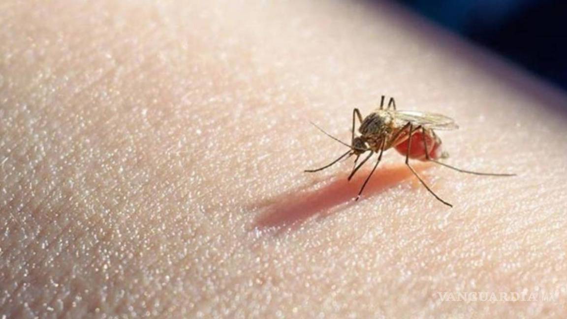 La OMS aprueba la primera vacuna eficaz contra la malaria