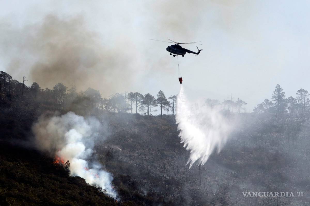 Tres meses y aún no hay castigo por incendio forestal en la Sierra de Arteaga