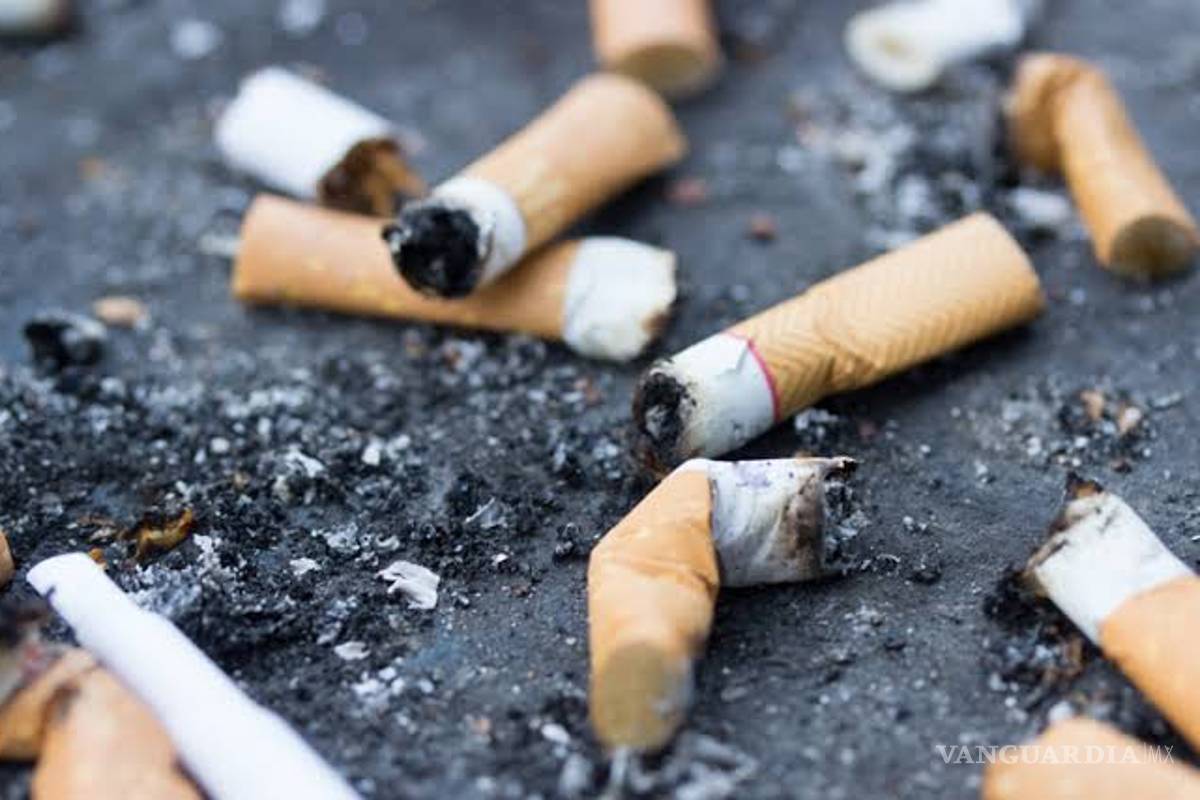Proponen multar a quien tire colillas de cigarros en calles de CDMX