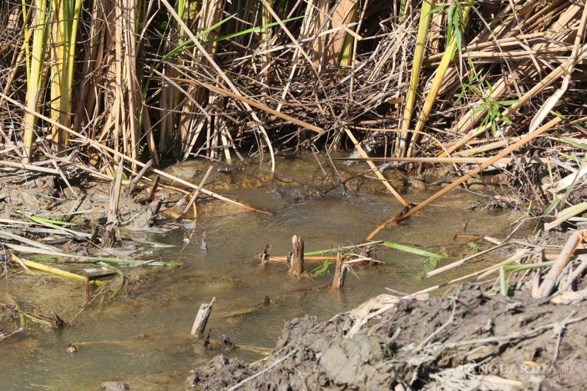 Clausura Nuevo León tomas ilegales de agua